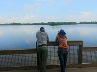 people looking at water